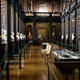 Illustration for article titled Lose Yourself In These Photos Of Europe's Most Magnificent Libraries